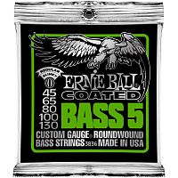 Ernie Ball 3836